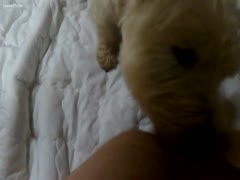 My dog lickin' eight and me in crossdress DWT